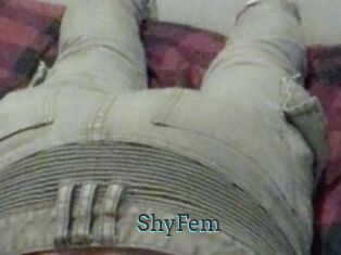 ShyFem