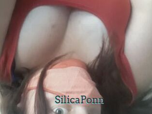 SilicaPonn