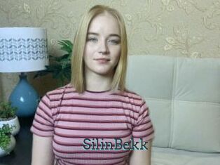 SilinBekk