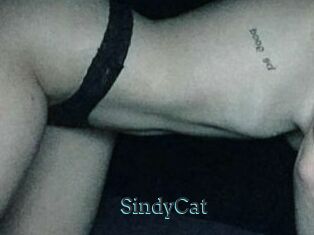 SindyCat