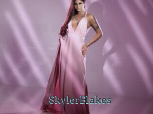 SkylerBlakes