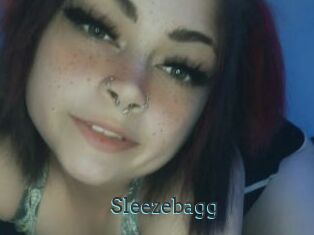 Sleezebagg