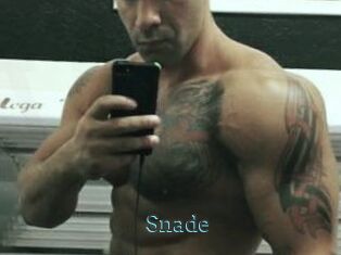 Snade