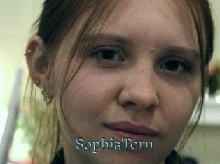 SophiaTorn