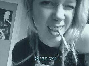 Sparrow