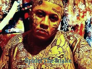 SpiderTheSnake