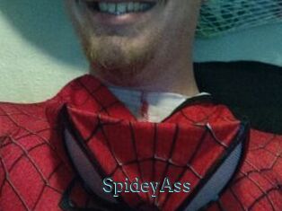 SpideyAss