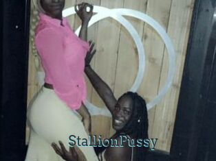 StallionPussy
