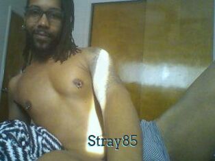 Stray85