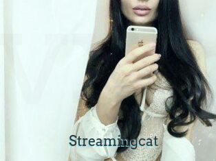 Streamingcat