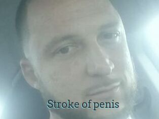 Stroke_of_penis