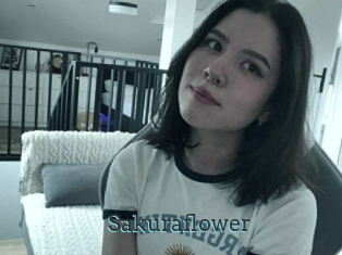 Sakuraflower