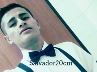 Salvador20cm