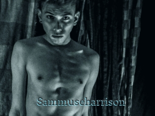 Sammuseharrison