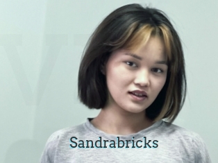 Sandrabricks