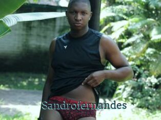 Sandrofernandes