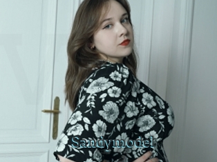 Sandymodel