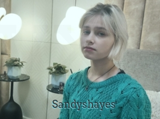 Sandyshayes