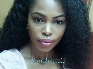 Sanelentuli