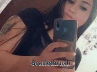 Scarlethrush