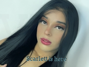 Scarlett_is_here
