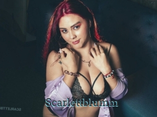 Scarlettblumm