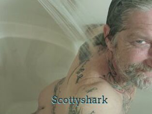 Scottyshark