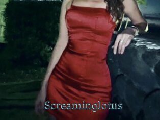 Screaminglotus