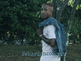 Sebastianconort