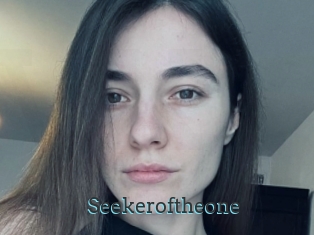Seekeroftheone