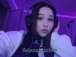 Selenagambee
