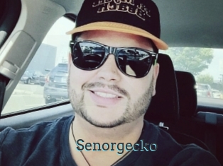 Senorgecko