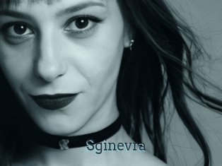 Sginevra