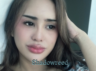 Shadowreed