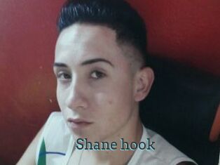 Shane_hook
