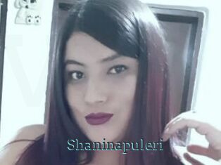 Shaninapuleri