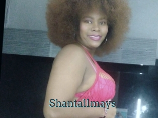 Shantallmays