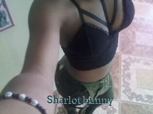 Sharlot_bunny
