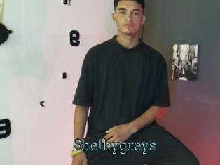Shelbygreys