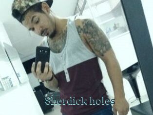 Sherdick_holes