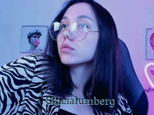 Silicialumberg