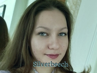 Silverbeech