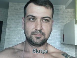 Skripa