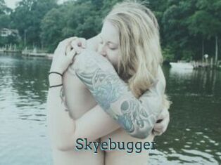 Skyebugger