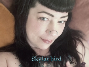 Skylar_bird