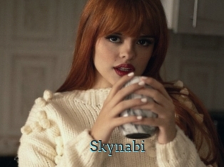 Skynabi