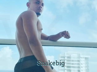 Snakebig