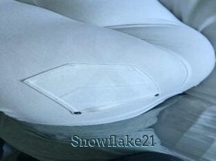 Snowflake21