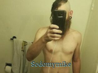 Sodomymike