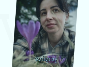 Sofi_gray
